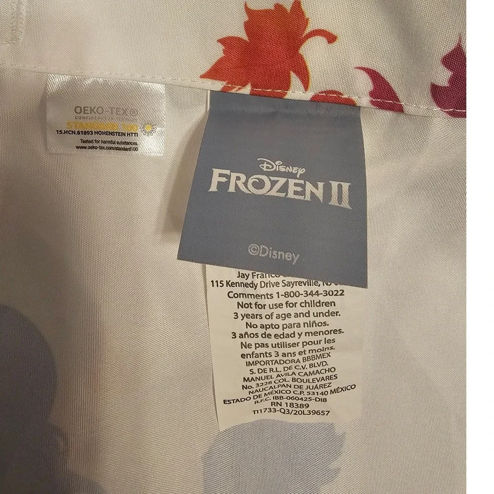 Disney frozen ii